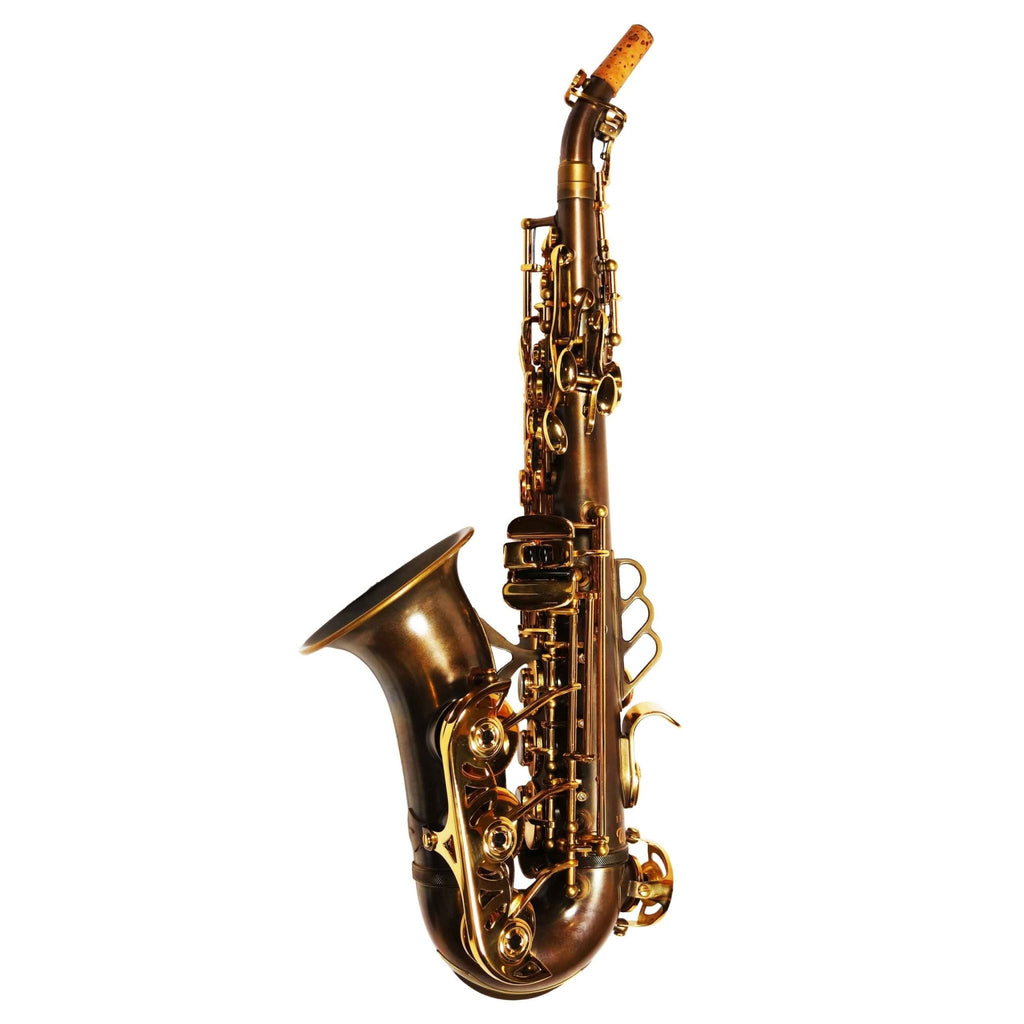 Theo Wanne MANTRA - Fully Curved Soprano Sax - One Piece - Vintified - SAX