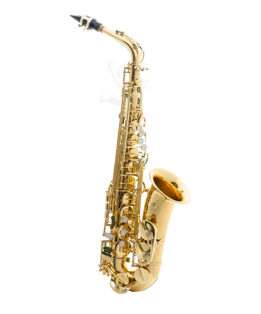 Trevor James - The Horn - Alto Saxophone - Gold Lacquer - SAX