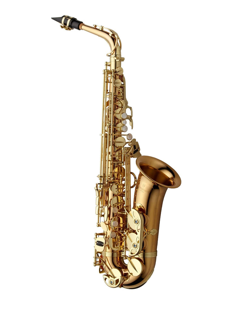 Yanagisawa AWO2 Alto Saxophone - Bronze - SAX