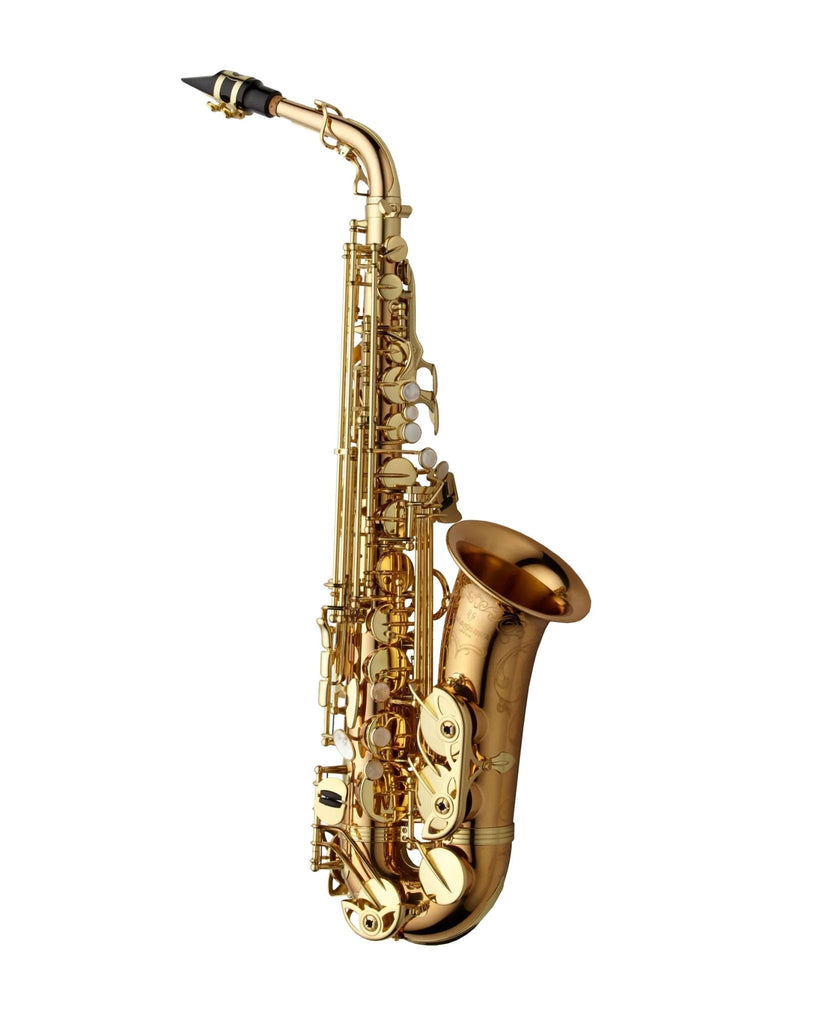 Yanagisawa AWO20 Alto Saxophone - Bronze - SAX